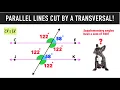 Parallel Lines Cut by a Transversal Angle Relationships