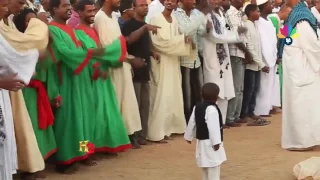 أولاد الشيخ البرعي صلي وسلم عليك يا نبينا رب العالم وليك  أولاد الشيخ البرعي صلي وسلم عليك يا نبينا رب العالم وليك