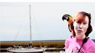 LUST on the Port Side: Sailing to Cumberland Island | Sailing Wisdom [S5 Ep21]