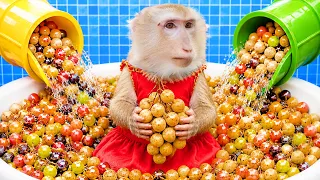 Yaya Goes Crazy for This Amazing Fruit Basket 😍🙉