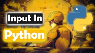 Python Input Function Practical Examples Exercises