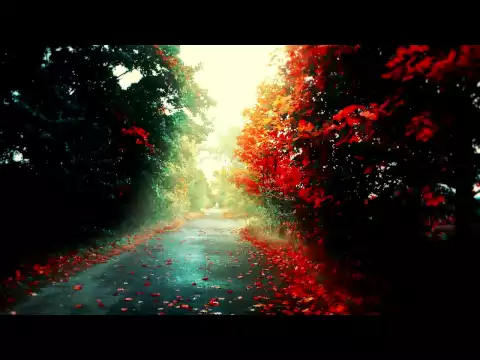 'Autumn Colours' - Chillstep Mix