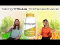 Tribugen How We Took Tribulus To The Next Level