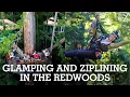 Experience Glamping and Ziplining in Northern California s Redwoods