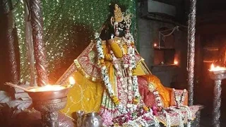 aarti banke bihari ji temple alok krishna