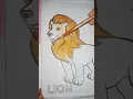 Lion color drawing How to draw lion lion coloring