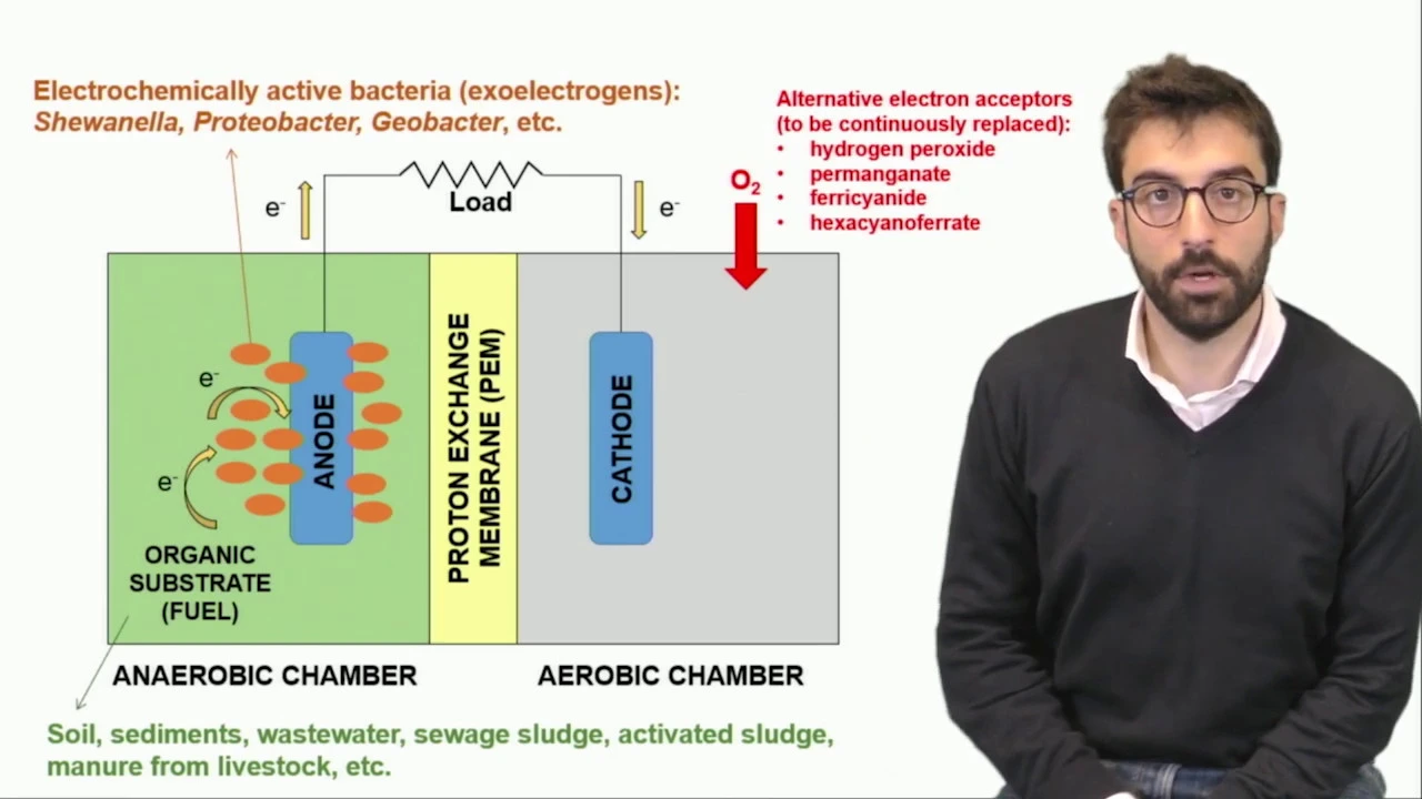 Microbial Fuel Cells: Principles & Waste-to-Energy Explained