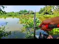 Download Lagu Banyak yg belum tahu‼️bukan cuma ikan mas dan nila ikan ini juga melimpah di sungai lamongan