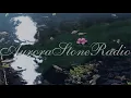 Evil Needle - Out of reality // Mix // Lofi & Chill music.