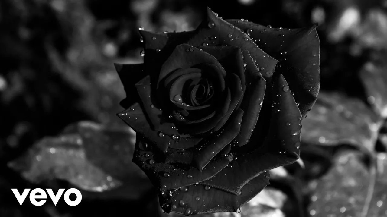 GASOLINE - Halsey (Naihid)