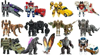 STOP MOTION Transformers Rise of the Beasts, Lego Dinosaur & Godzilla x Kong Toys Battle! TRANSFORM