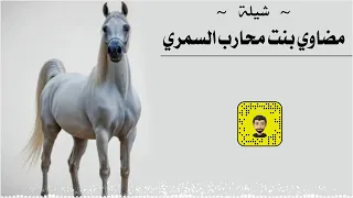 شيلة مضاوي بنت محارب السمري سعد محسن حصريا 2025 