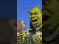 Who knew a talking donkey and a green ogre would be a defining friendship of the 2000s is str