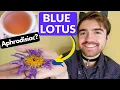 TEA FOR SENSUAL PLEASURE - BLUE LOTUS Review Natural Aphrodisiac