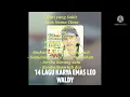 Download Lagu Dangdut//Leo Waldy