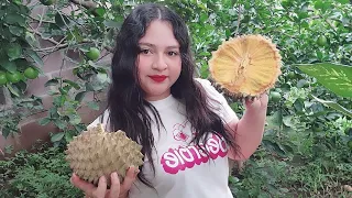Hola