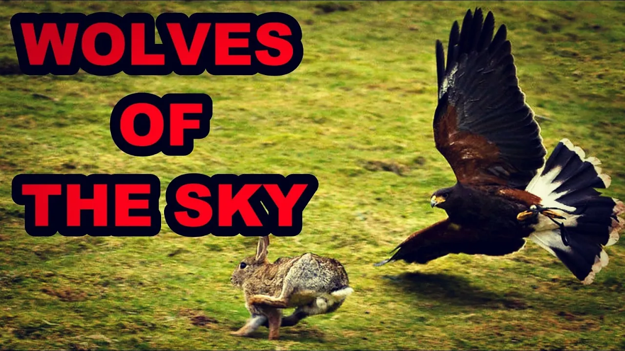 Wolves with Wings!