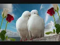 Bernard Sauvat - Je te regarde et je t'admire