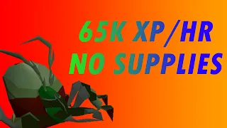Kalphites Slayer Guide 65K Slayer OSRS 2020