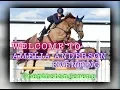 WELCOME TO MY CHANNEL Amelia Anderson Eventing