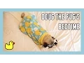 Doug the Pug's Bedtime