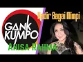 Download Lagu Hadirmu Bagai Mimpi by Anisa Rahma (GANK KUMPO) provista studio