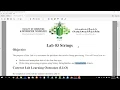 CPCS 203 - Lab 3 String and StringBuilder