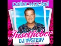 Inselfieber (DJ Mystery Hardstyle Remix)