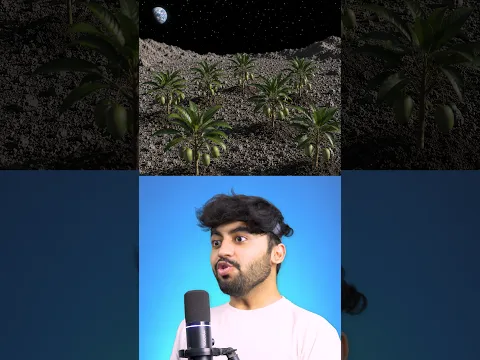 Ai, Show me Mango Farming on Moon🌚🥭