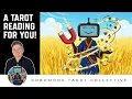 Download Lagu Wat trek je aan in je leven? - Tarot Collectief