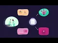 BEKhealth HCPs Research Networks - Explainer Animation