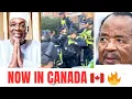 Lagu CAMEROONIANS IN CANADA 🇨🇦 SHOCKED PAUL BIYA #paulbiya #issatchiroma #CAMEROONNEWS