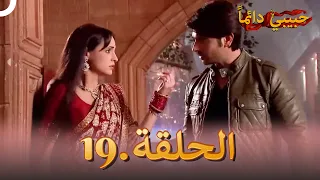 حبيبي دائما الحلقة 19 Rangrasiya  حبيبي دائما الحلقة 19 Rangrasiya