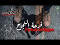 Nasyid Farhat Al Najah lirik