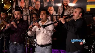 Banda Renovacion - Pichatarito "Instrumental" (En Vivo 2026)