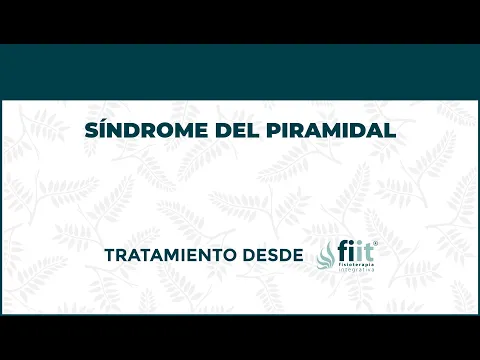 Síndrome del Músculo Piramidal. Tratamiento de Fisioterapia - FisioClinics Logroño