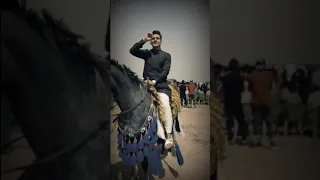 هوسه بحق عشيرة اولاد بركه عشائر قريش المهوال علي سريع السعيدي 