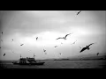 Ayten Alpman - Ben Varım | Nostaljik Martılar
