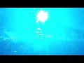 Disturbed~ Open your eyes Live MA