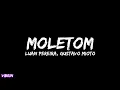 Download Lagu Luan Pereira, Gustavo Mioto -  Moletom (Letra)