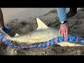 2024 - Steve and Tami Catch 5 foot shark