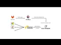 AWS EC2 Instance Provisioning Using SaltStack
