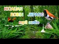 Download Lagu MASTERAN ROBIN JEPANG GACOR MP3 AUDIO JERNIH