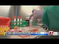 Labcorp launches four-in-one test