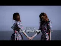 Download Lagu The Virgin (Love Setengah Mati) Official Video HD