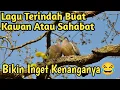 Download Lagu Lagu Kenangan Terindah Buat Kawan Atau Sahabat | LAGU PERPISAHAN TERINDAH