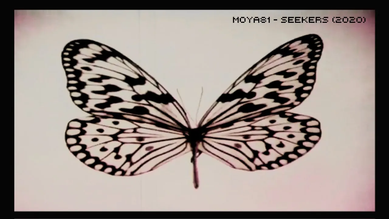 MOYA81   Seekers (2020)