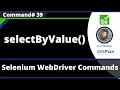 selectByValue Command - Selenium WebDriver