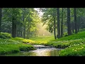 Lagu Rustgevende natuurgeluiden 🌿 Kalmerende muziek om het zenuwstelsel te resetten