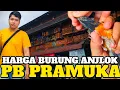 Lagu PASAR BURUNG PRAMUKA SEPI‼️ DAMPAK BANJIR SUMATRA, HARGA BURUNG ANJLOK